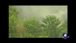 美印尼达成进一步“关键战略伙伴关系” 美印尼达成进一步“关键战略伙伴关系”