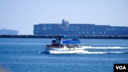 排队的集装箱货轮是观光船的新景点(美国之音国符拍摄)