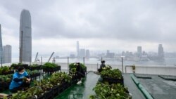 VOA卫视-焦点对话 效法北京“动态清零” 香港沦为国际孤城? VOA卫视-焦点对话 效法北京“动态清零” 香港沦为国际孤城?