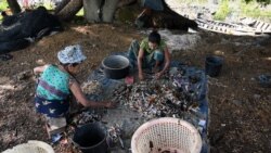 ခရီးသွားကန့်သတ်မှုကြောင့် ရခိုင်မြောက်ပိုင်း ရိက္ခာအခက်ကြုံ  ခရီးသွားကန့်သတ်မှုကြောင့် ရခိုင်မြောက်ပိုင်း ရိက္ခာအခက်ကြုံ