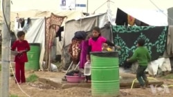 伊拉克冲突导致儿童精神创伤 伊拉克冲突导致儿童精神创伤