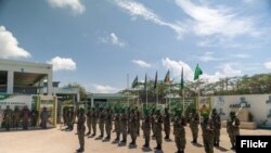 ኣባላት ሰራዊት ኣትሚስ - ፋይል