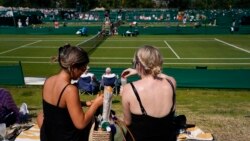 Wimbledon အမျိုးသားတဦးချင်း တင်းနစ် Alcaraz နဲ့ Djokovic ဖိုင်နယ်တက် Wimbledon အမျိုးသားတဦးချင်း တင်းနစ် Alcaraz နဲ့ Djokovic ဖိုင်နယ်တက်