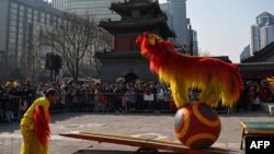 北京市民在东岳庙前观看春节舞狮。(2024年2月12日)