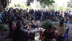 Membawa Suasana Bali, Pentas Gamelan dan Tari di Taman Botanical San Francisco Membawa Suasana Bali, Pentas Gamelan dan Tari di Taman Botanical San Francisco