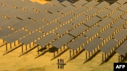 资料照片: 2023年7月12日江苏泰州渔光互补光伏发电基地工人们检查太阳能电池板