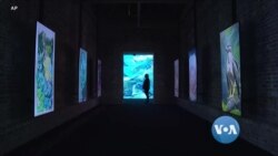 လန်ဒန်က သဘာဝအလှဒီဂျစ်တယ်အနုပညာပြခန်း
 လန်ဒန်က သဘာဝအလှဒီဂျစ်တယ်အနုပညာပြခန်း