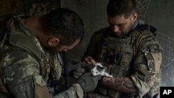 在扎波罗热地区的前线,乌克兰军人在俄军炮击期间在掩体内抚慰一只幼猫。(2023年7月2日)