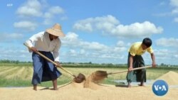 စစ်အာဏာသိမ်းပြီးနောက်ပိုင်း မြန်မာ့လယ်ယာမြေအရေး လှုပ်ရှားခွင့်အခြေအနေ
 စစ်အာဏာသိမ်းပြီးနောက်ပိုင်း မြန်မာ့လယ်ယာမြေအရေး လှုပ်ရှားခွင့်အခြေအနေ