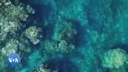 NASA ရဲ့ ဥတုရာသီစောင့်ကြည့်ရေးဂြိုလ်တု NASA ရဲ့ ဥတုရာသီစောင့်ကြည့်ရေးဂြိုလ်တု