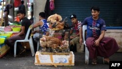 ယခင်မှတ်တမ်းရုပ်ပုံ | မလေးရှားနိုင်ငံ၊ Selayang မြို့က လမ်းဘေးဈေးတခုမှာ တွေ့ရတဲ့ ရိုဟင်ဂျာဒုက္ခသည်ဈေးသည်များ၊ ဒီဇင်ဘာ ၁၄၊ ၂၀၁၇