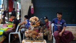 ဒုက္ခသည်တွေ အလုပ်လုပ်ခွင့်ပြုရေး မလေးရှားအစိုးရစဉ်းစား  ဒုက္ခသည်တွေ အလုပ်လုပ်ခွင့်ပြုရေး မလေးရှားအစိုးရစဉ်းစား