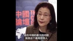  蔡霞：习近平的权力没有任何制约，中共被他带着走