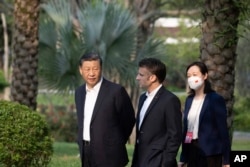 中国领导人习近平在广州市的一个花园散步。(2023年4月7日)