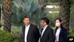 中国领导人习近平在广州市的一个花园散步。(2023年4月7日)