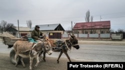 资料照片: 2024年3月20日哈萨克斯坦和中国边境附近一名骑着毛驴的男子