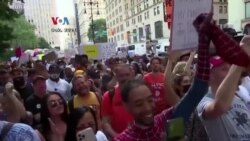 Sentimen Anti-Vaksin Meluas hingga ke Vaksinasi Binatang Peliharaan Sentimen Anti-Vaksin Meluas hingga ke Vaksinasi Binatang Peliharaan