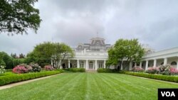 资料照片:白宫玫瑰园。(2024年5月10日)