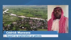 Mpo na nini eyano ya malonga epesami te na mbela ya Kinshasa mpo na kozwa mabele mpe kobimisa pelolo na RDC (Cédrick Manwana) Mpo na nini eyano ya malonga epesami te na mbela ya Kinshasa mpo na kozwa mabele mpe kobimisa pelolo na RDC (Cédrick Manwana)