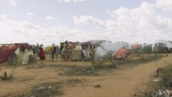 መወዳእታ ጥርዚ ዝበጽሕ ዘሎ ሽግር መዓስከር ስደተኛታት ኬንያ መወዳእታ ጥርዚ ዝበጽሕ ዘሎ ሽግር መዓስከር ስደተኛታት ኬንያ