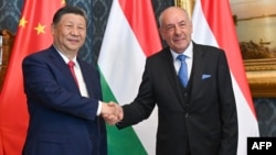 匈牙利总统舒尤克(Tamas Sulyok )在布达佩斯总统府与到访的中国国家主席习近平握手。(2024年5月9日)