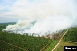 Asap membubung dari kebakaran hutan di Kubu Raya, dekat Pontianak, Kalimantan Barat, 25 Agustus 2016. (Foto: Jessica Helena Wuysang/Antara via Reuters)