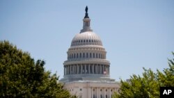 美国国会大厦 (美联社)
