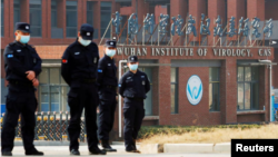 武汉病毒研究所