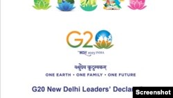 新德里20国集团峰会共同宣言封面截屏。