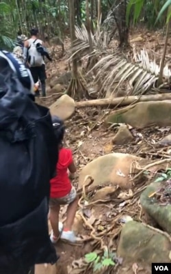 雨林(拍摄:小白)