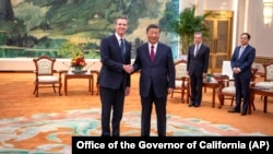 中国领导人习近平在北京人大会堂会见到访的美国加州州长纽森。(2023年10月25日)