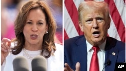 2024 年大选:哈里斯与特朗普合成图