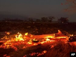 夏威夷毛伊岛遭野火施虐。(2023年8月9日)