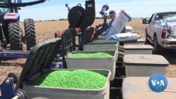 VOA视频:国会议员寻求遏制中国购买美国农田,当地农民怎么说? VOA视频:国会议员寻求遏制中国购买美国农田,当地农民怎么说?