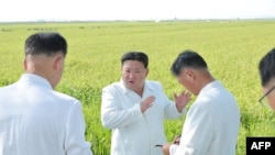 朝鲜官方朝中社2023年8月18 日发布这张未注明日期的朝鲜领导人金正恩照片。