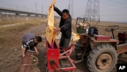 中国河南一名农民在和他的孙子准备给农田播种。(2021年10月23日)