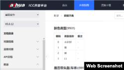 中国大华公司“ICC开放平台”对肤色分析功能的介绍(网页截屏)