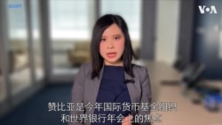 中国拒绝单方面减免赞比亚债务 专家指借贷人达成共识有难度 中国拒绝单方面减免赞比亚债务 专家指借贷人达成共识有难度