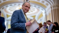 资料照片: 纽约州参议院多数党领袖查克·舒默2023年12月12日在华盛顿国会大厦对记者讲话