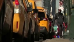 နယူးယောက် မော်တော်ယာဉ်မောင်းခ တုံ့ပြန်မှုများ နယူးယောက် မော်တော်ယာဉ်မောင်းခ တုံ့ပြန်မှုများ