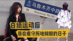 原声带·夏巢川:白纸运动后,我在看守所地狱般的日子 原声带·夏巢川:白纸运动后,我在看守所地狱般的日子