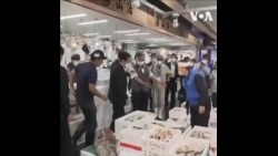 岸田文雄走访鱼市场
 岸田文雄走访鱼市场