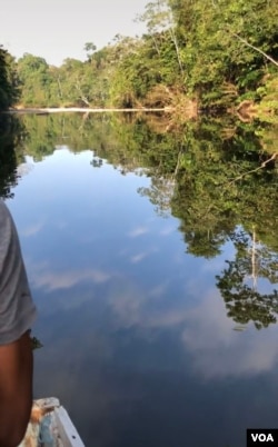 雨林2(拍摄:小白)