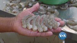 အာရှစီးပွားရေး အာရှစီးပွားရေး