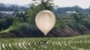Korea Utara telah mengirimkan hampir seribu balon yang membawa kantong-kantong sampah melewati perbatasan Korea Selatan.