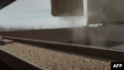 资料照片:敖德萨地区黑海港口的货船传送带上,粮食正在被装上船。