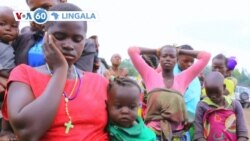 VOA60 Lingala 8 sanza ya minei 2023 VOA60 Lingala 8 sanza ya minei 2023