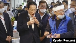 日本首相岸田文雄在东京一个水产品市场时食用福岛附近水域打捞的海鲜。(2023年8月31日)