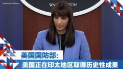 美国国防部:美国正在印太地区取得历史性成果 美国国防部:美国正在印太地区取得历史性成果