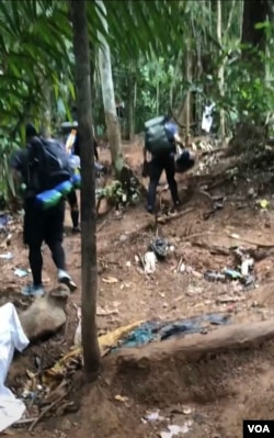 雨林1(拍摄:小白)